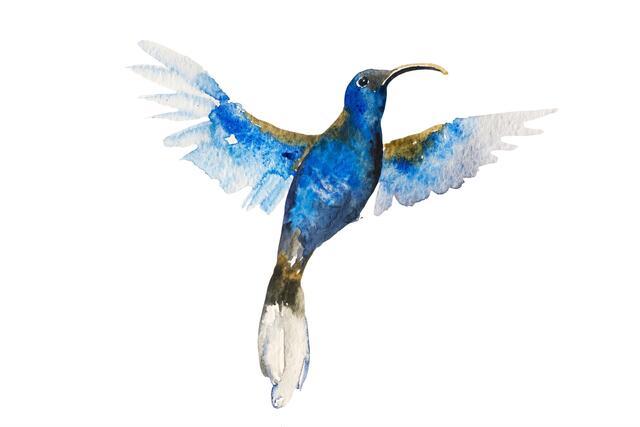 Thumbnail for original image