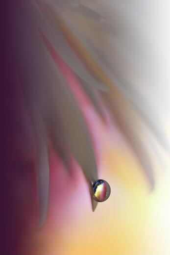 Thumbnail for original image