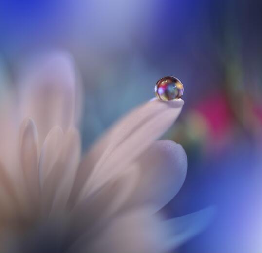 Thumbnail for original image