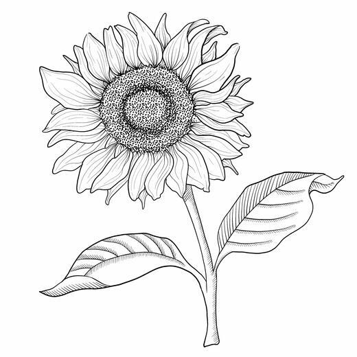Thumbnail for original image