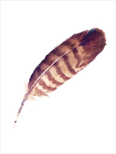 Thumbnail for original image