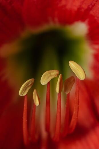 Thumbnail for original image