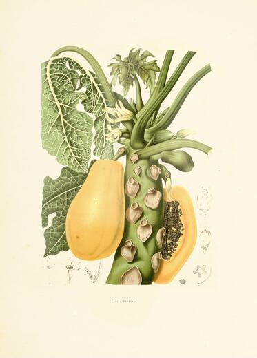 Thumbnail for original image
