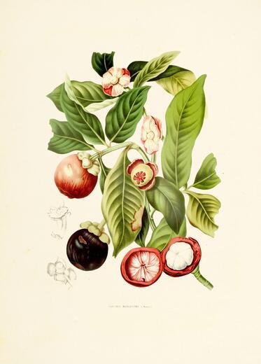 Thumbnail for original image