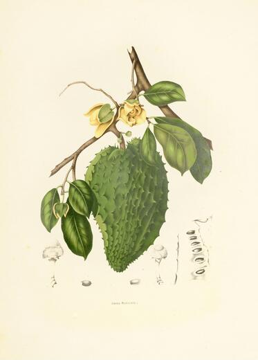 Thumbnail for original image
