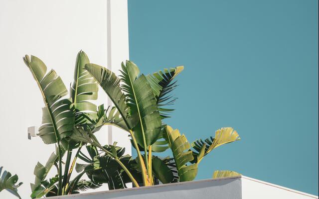 Thumbnail for original image