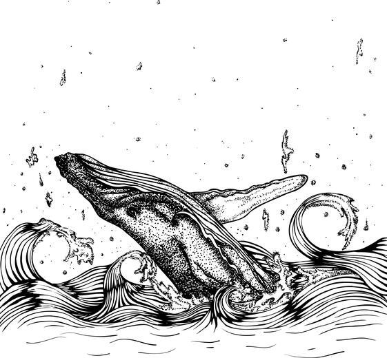 Thumbnail for original image