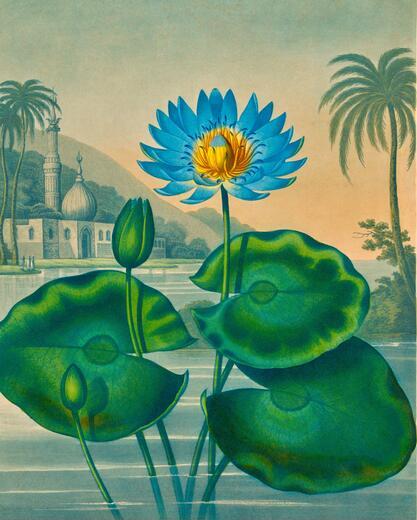Thumbnail for original image