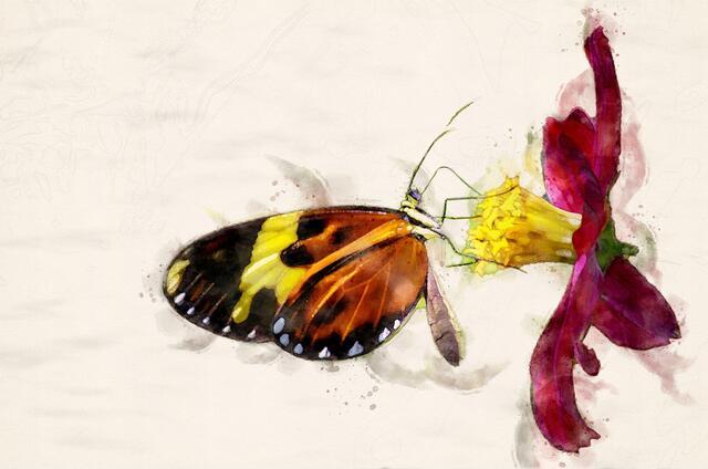 Thumbnail for original image