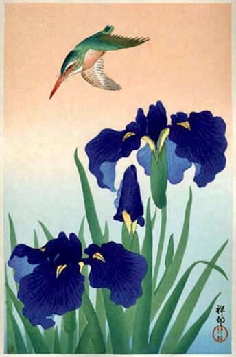 Thumbnail for original image