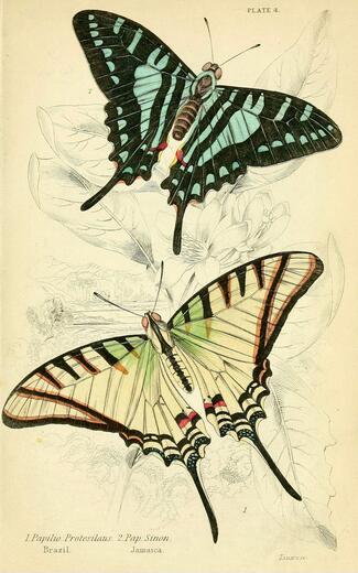 Thumbnail for original image