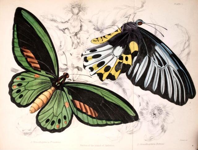 Thumbnail for original image