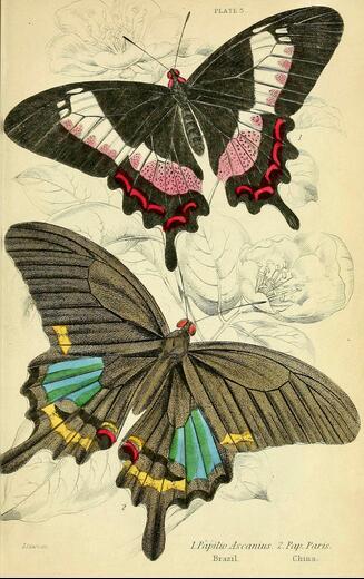 Thumbnail for original image