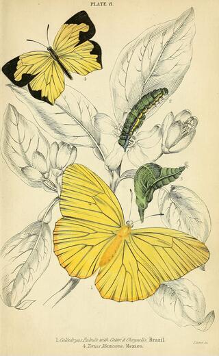 Thumbnail for original image