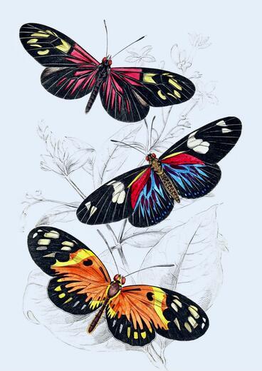 Thumbnail for original image