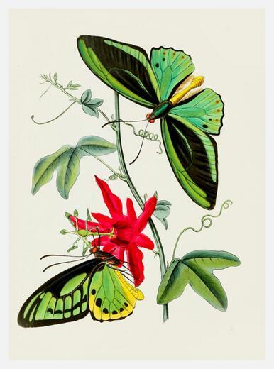 Thumbnail for original image