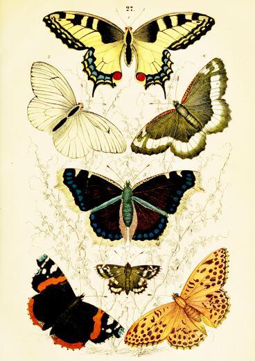Thumbnail for original image