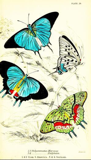 Thumbnail for original image