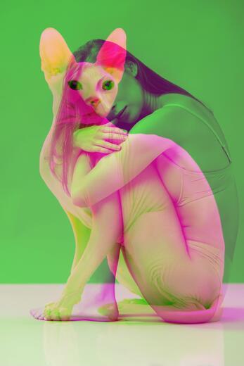 Thumbnail for original image