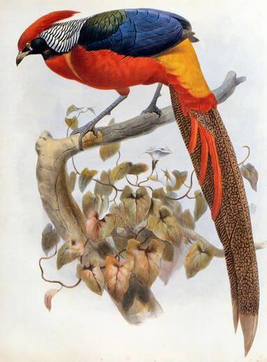 Thumbnail for original image
