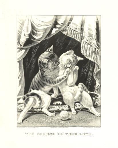 Thumbnail for original image