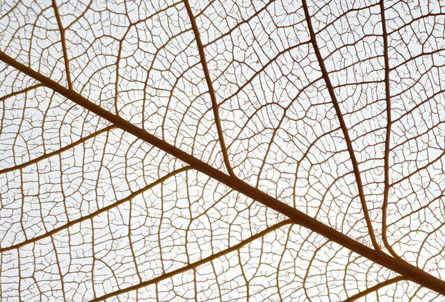 Thumbnail for original image