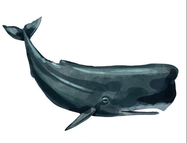 Thumbnail for original image
