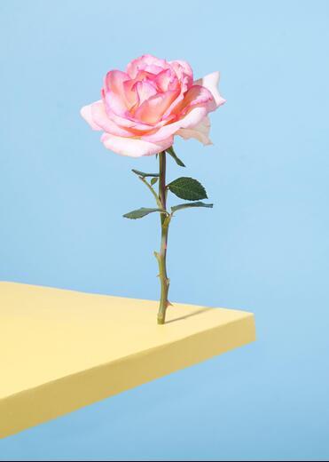 Thumbnail for original image