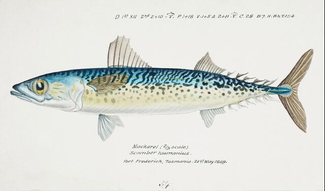 Thumbnail for original image