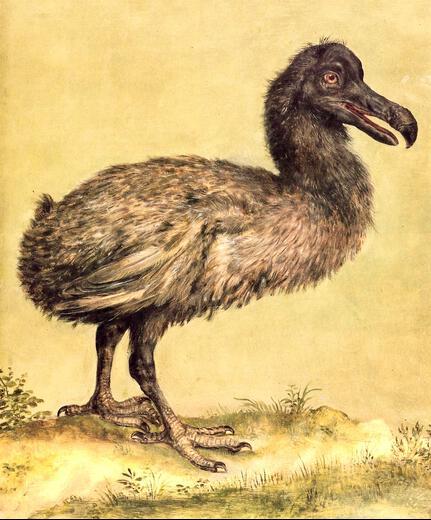 Thumbnail for original image