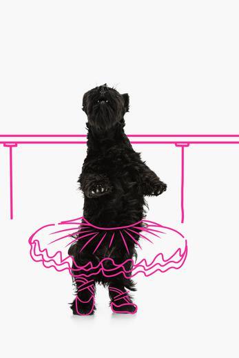 Thumbnail for original image