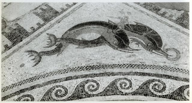 Thumbnail for original image