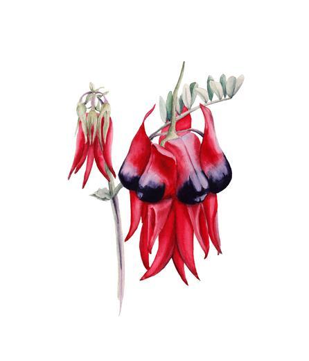 Thumbnail for original image