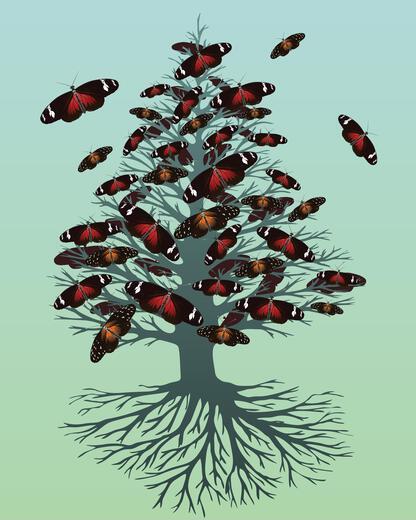 Thumbnail for original image