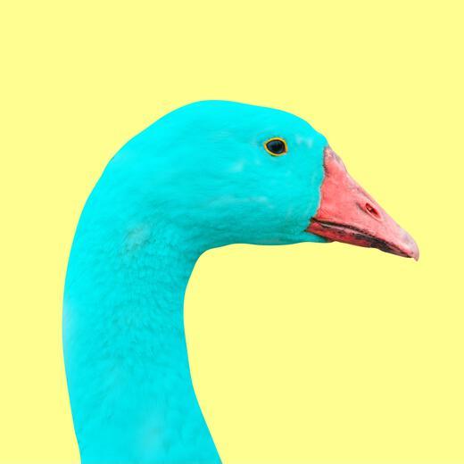 Thumbnail for original image