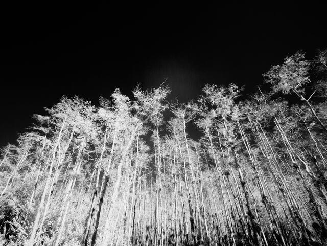 Thumbnail for original image
