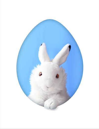 Thumbnail for original image