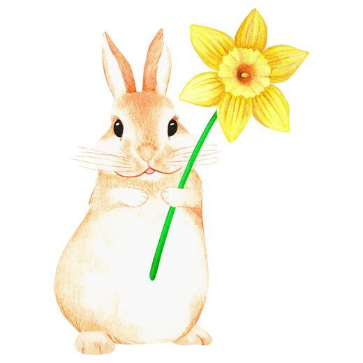 Thumbnail for original image