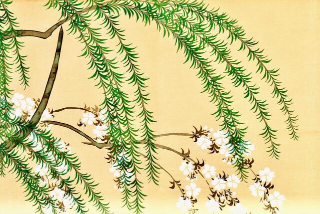 Thumbnail for original image