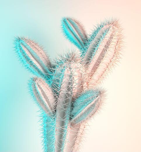 Thumbnail for original image