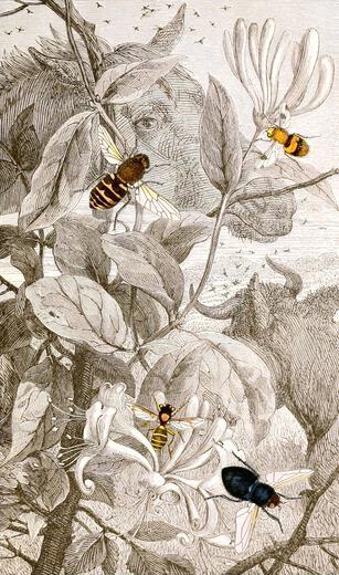 Thumbnail for original image