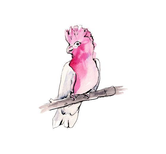 Thumbnail for original image
