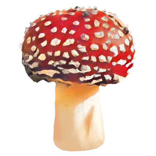 Thumbnail for original image