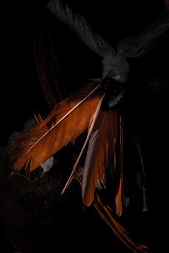 Thumbnail for original image