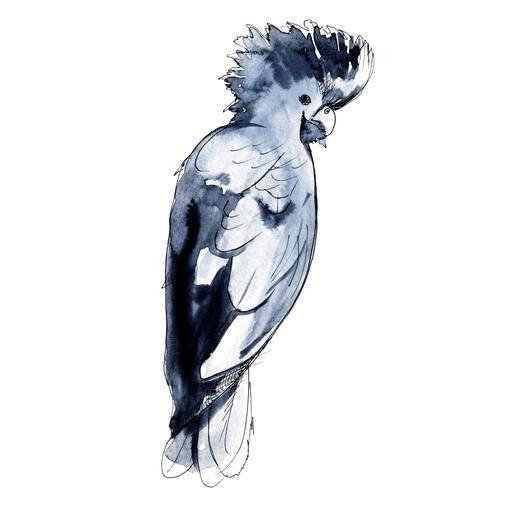 Thumbnail for original image