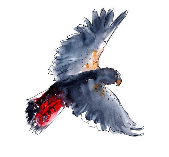 Thumbnail for original image