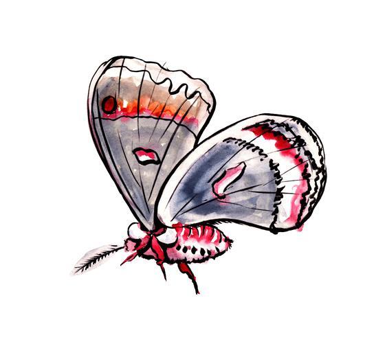 Thumbnail for original image