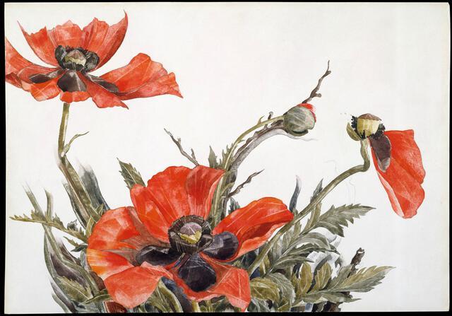 Thumbnail for original image