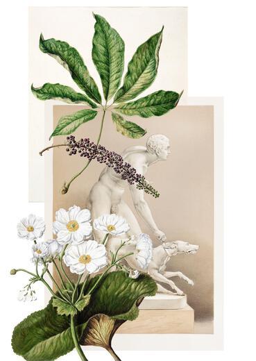 Thumbnail for original image