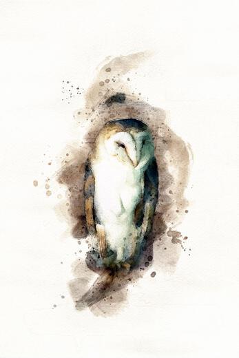 Thumbnail for original image